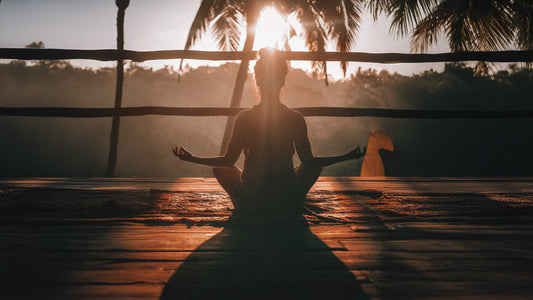 Stress und seine Folgeerkrankungen mit Mikronährstoffen optimal versorgen